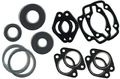 All-all Jlo Cuyuna L297 24m Crank Professional Gasket Set With Oil Seals 