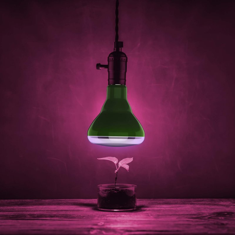 Feit Electric Br30 Grow Ledg2 Bx Full Spectrum Led 65w Equivalent Non-dimmable Hydro Grow Light Bulb