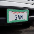 Glam Starfish Tropical Pattern License Plate Tag Frame