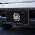Graphics More Painted Tabby Cat With Flowers Novelty Metal Vanity Tag License Plate