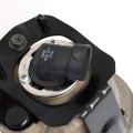 Auto Dynasty Compatible With 02-07 Altima Murano Infiniti Fx35 Fx45 Oe Style Front Driving Fog Light Lamp Right Rh Passenger