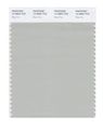 Pantone Smart 14-4804x Color Swatch Card Blue Fox 