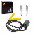 Ignition Coil Pack Spark Plug Cap For Honda Vtx1300c Vtx1300r Vtx1300s Vtx1300t Vtx1300 Interstate Sabre 1300 Vt1300 Ct Cra Cr