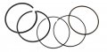 Piston Rings For Honda Fourtrax 300 Trx300ex Sportrax Standard Bore 74mm
