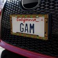 Geometric Apatosaurus Brontosaurus Dinosaur Aztec Mayan Style License Plate Tag Frame