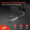 A-premium O2 Oxygen Sensor Compatible With Chrysler Sebring 1996 Dodge B150 1991 Ram 1500 2500 3500 1994-1995 Jeep Cherokee