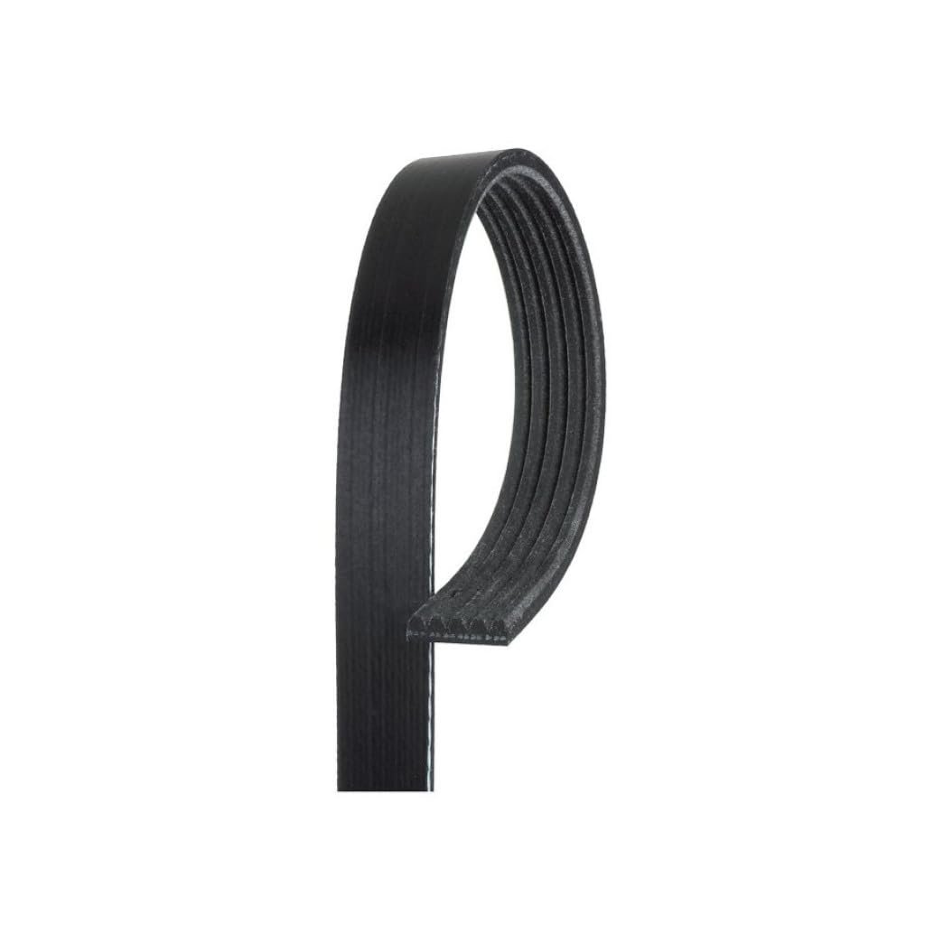 Standard V Ribbed Serpentine Belt For Jaguar Xj6 1993 1994 1995 1996 1997 Black 5 Ribs 996 Mm Outside Circumference 981