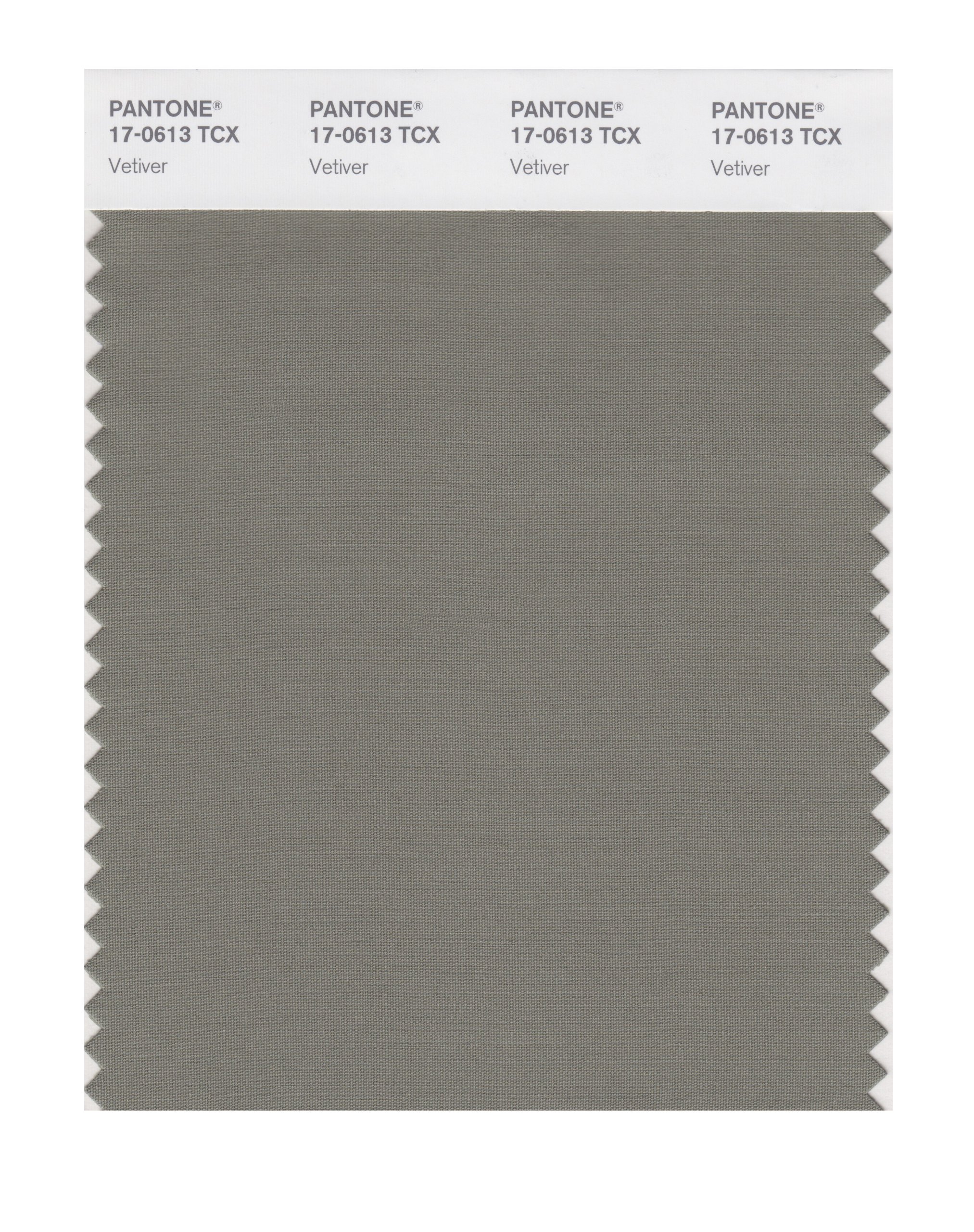 Pantone Smart 17-0613x Color Swatch Card Vetiver