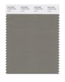 Pantone Smart 17-0613x Color Swatch Card Vetiver 