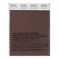 Pantone Smart Swatch 19-1214 Chocolate Lab 