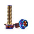 304 Stainless Steel Titanium-plated Hollow Flange External Hexagonal Screws Body License Plate Motorcycle M4 M5 M6 M8 Pvd Burnt 