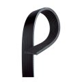 Serpentine Belt For Nissan Frontier Xterra Pathfinder 2005 2006 2007 2008 V Ribbed 7 Rib 0 94 In Top Width Replacement 19252709 