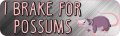 Stickertalk I Brake For Possums Vinyl Sticker 10 Inches By 3 