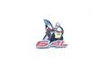 Dodge Challenger 6 4l Scat Pack Emblem Badge Mopar Oem