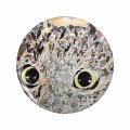 1080 Graphics Cat With Big Eyes Key Chain Double Sided Stainless Steel Keychain 