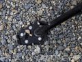 Altrider R113-2-1101 Side Stand Enlarger Foot For The Bmw R 1200 Gs Water Cooled 2013 Black