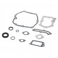 Hifrom New Replacement Valve Gasket Set For 590508 Old 794307 497316