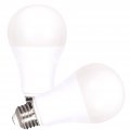 A19 A Line Pear Led Light Bulb Warm White 2700 Kelvin E26 Base 11 5 Watts Frosted Non Dimmable 2 Pack S21323 