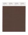 Pantone Smart 19-1116x Color Swatch Card Carafe 