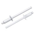 100pcs 5 32 X3 8 Round Head Blind Rivets Zinc-plated Carbon Steel Grip And Mandrel Cap White 