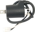 External Ignition Coil For Polaris Snowmobile Sm-01114 Lepaza75596 44-1017 Bolt On Replacement 