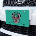 Graphics More Black Hawk Native American Design Style Novelty Metal Vanity Tag License Plate 