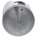 Polaris Genuine 1994-1999 Xplorer Xpress 300 400 Atv Piston Head 25mm O S