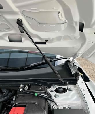 Tsubasa Lift Supports Struts For Honda Civic Type R Fl5 2022-2025 Front Carbon Fiber Bonnet Hood Modify Gas Charged Shock