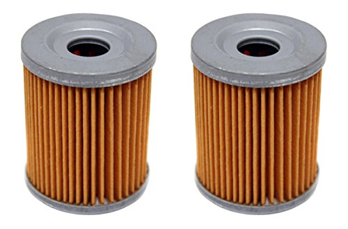Factory Spec Fs-701 Suzuki Quadrunner 160 230 250 Arctic Cat Utility 300 Oil Filter 2 Pack