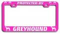 Protected By Greyhound Dogs Pets Pn Metal License Plate Frame Tag Holder H52 