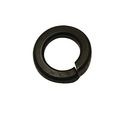 Superior Parts Sp Cn70481 Washer 8 Fits Max Cn70 