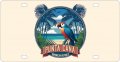 Punta Cana Dominican Republic Souvenir Metal License Plate Parrot2 