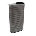 Hiflofiltro Air Filter Hfa1929 