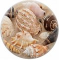 Carolina Hardware And Decor 1086 Seashells On Sand Ceramic Cabinet Drawer Knob