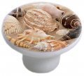 Carolina Hardware And Decor 1086 Seashells On Sand Ceramic Cabinet Drawer Knob 