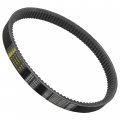 Caltric Drive Belt Compatible With Ski-doo Legend V1000 2003 2004 2005 600
