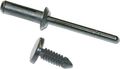 Starting Line Products 3 16in Plastic Pop Rivet Fastener 5 8in 14-228 