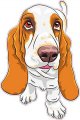 Stickertalk Basset Hound Vinyl Sticker 3 25 Inches By 5 