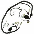 Caltric Wiring Harness Compatible With Honda 32100-hn1-a70