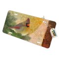 Graphics More Christmas Holiday Cardinal Bird Novelty Metal Vanity Tag License Plate