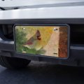 Graphics More Christmas Holiday Cardinal Bird Novelty Metal Vanity Tag License Plate