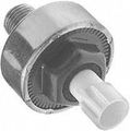 Borg Warner S8601 Knock Sensor 