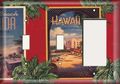 Two Switch One Rocker Plate Hawaii Postcard 