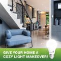 40 Watt Equivalent Led Light Bulbs 3000k Soft White 6 Watts Non Dimmable A19 Shape E26 Base 450 Lumens 12 Pack