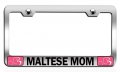 Maltese Mom Mothers Day Stainless Steel License Plate Frame Heavy Duty Metal Tag Holder For Car Suv Truck Universal Fit 12 5 X
