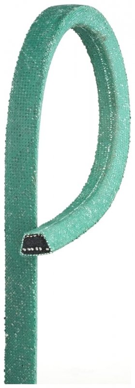 Powerated Belts