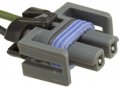 Airtex 1p1239 Pigtail 