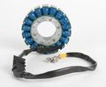 Stator Manufacturer Electrosport Industries Hon Cb900f 919 Hornet 