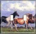 Snazzyswitch Horse Gallop Decorative Light Switch Cover Double Toggle Wall Plate 