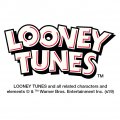 Looney Tunes Cute Tweety Tire Rim Wheel Aluminum Valve Stem Caps